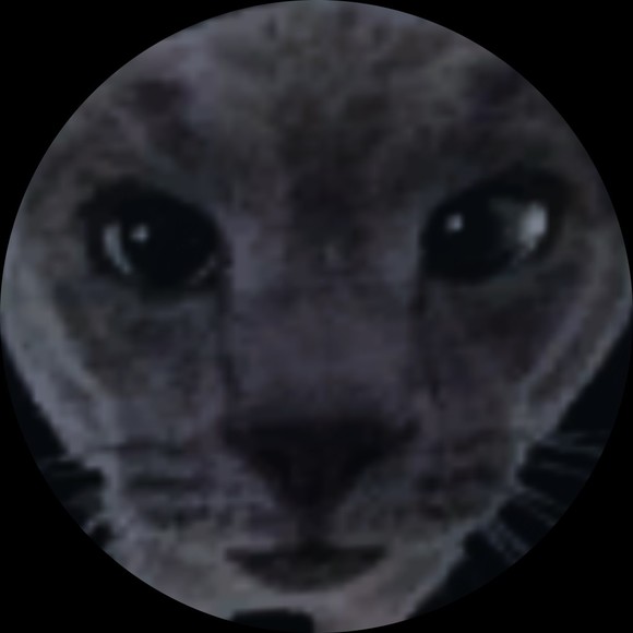 kingstev